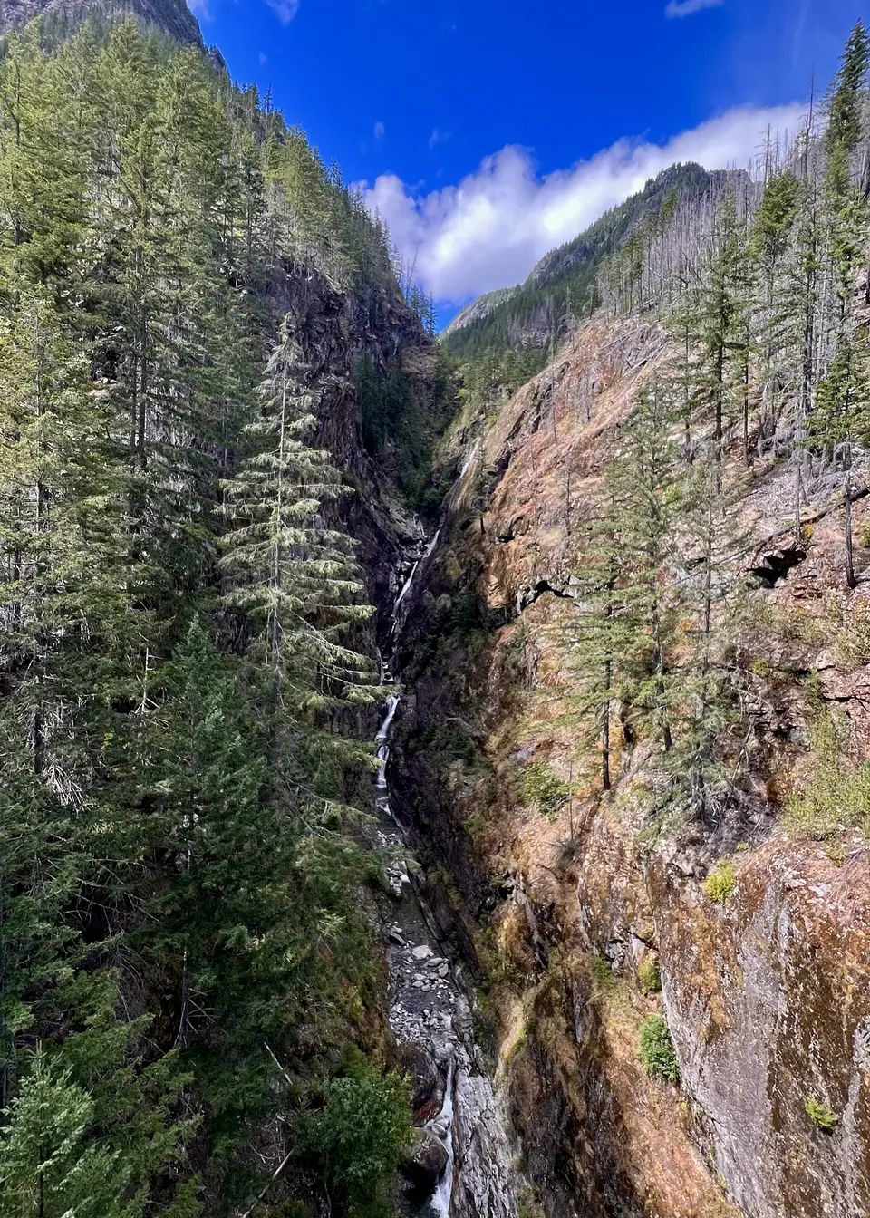 A narrow waterfall winds through a steep rocky gorge surrounded by evergreen forest beneath a vivid blue sky.