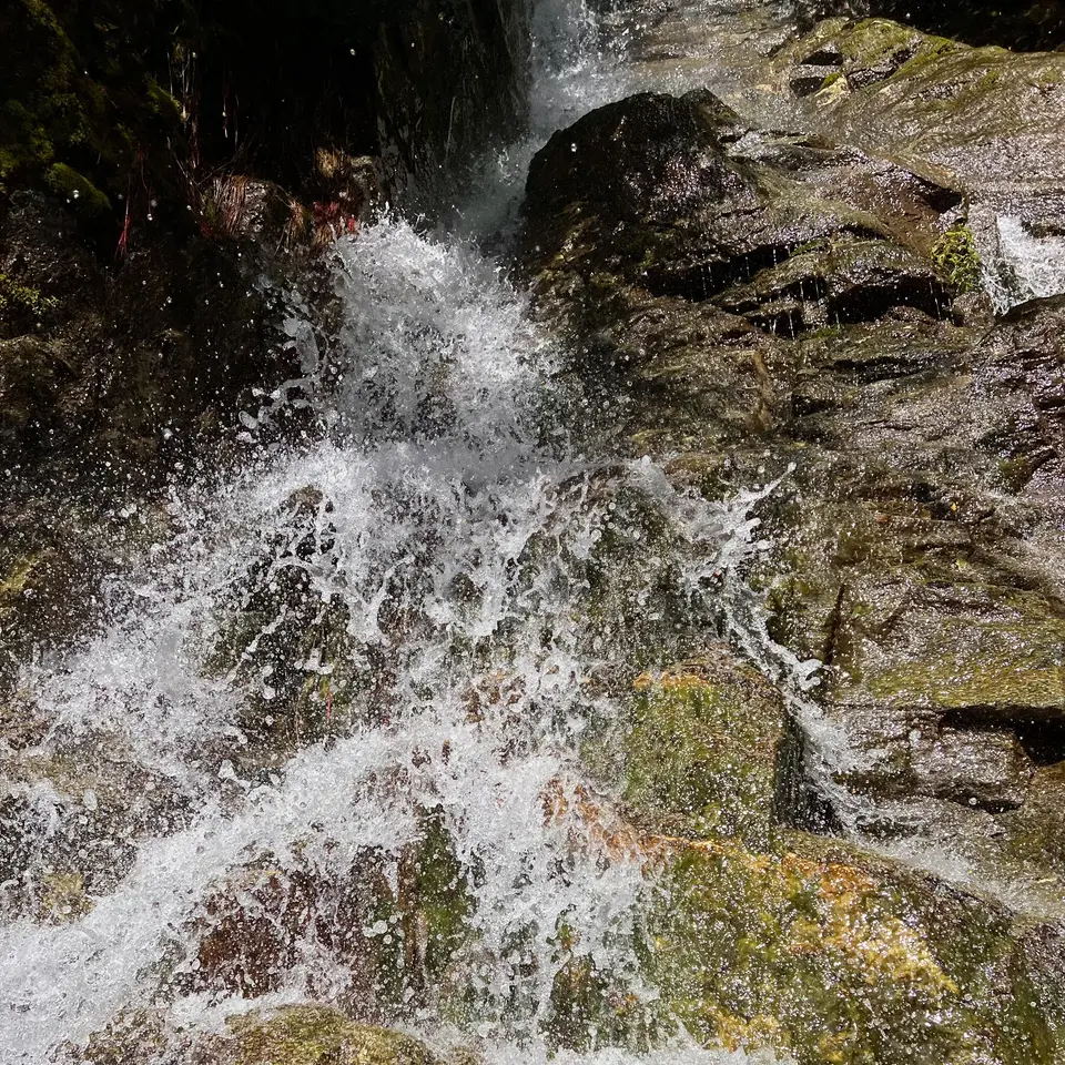 A small waterfall cascades over moss-covered rocks in a shaded forest setting.