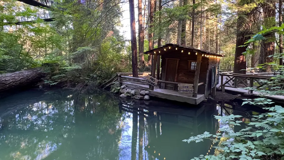 A small wooden cabin strung with lights sits beside a still pond in a dense forest.