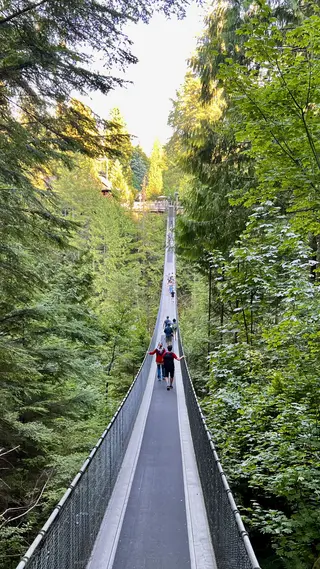 Visitors cross the Capilano Suspension Bridge above a densely wooded ravine in warm evening light.