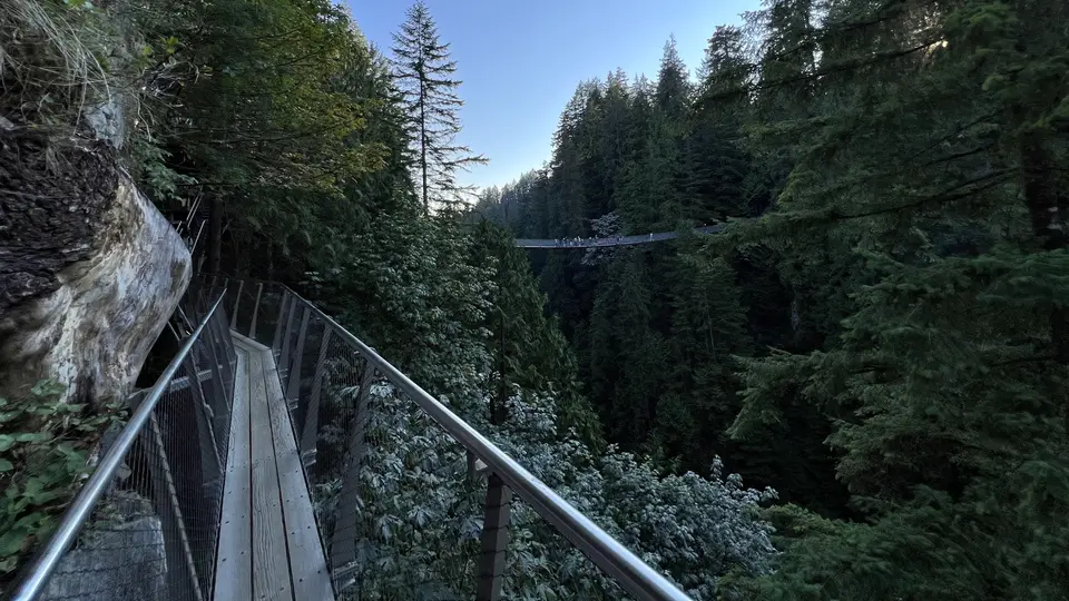 A narrow wooden walkway with metal railings runs beside a rocky cliff through dense evergreen forest.