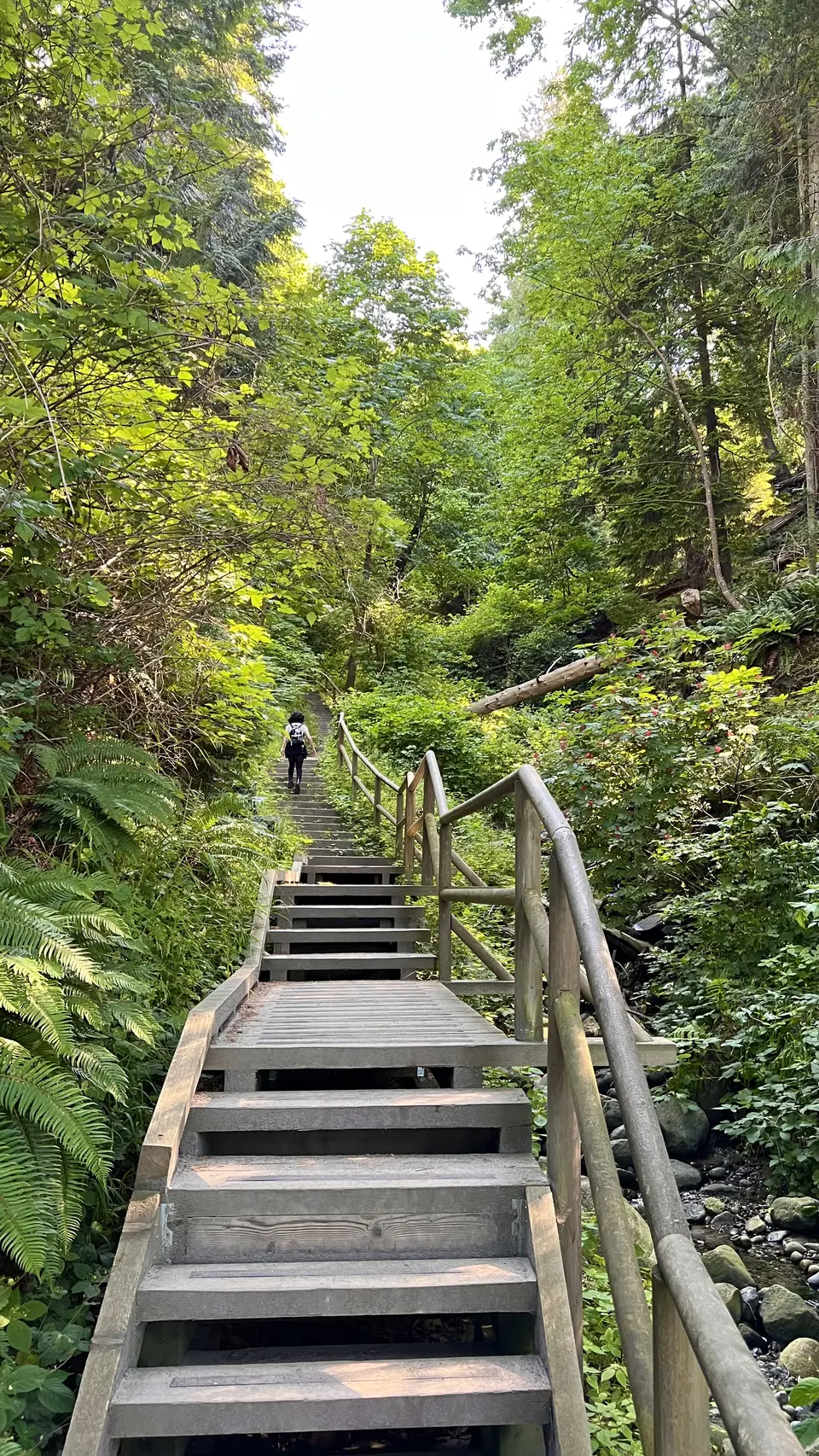 A wooden staircase with railings climbs through dense green forest beside a rocky stream, with a person walking away in the distance.