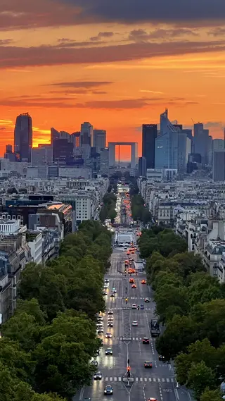 A tree-lined city avenue filled with traffic leads toward a skyline of high-rise buildings beneath a vivid orange sunset.