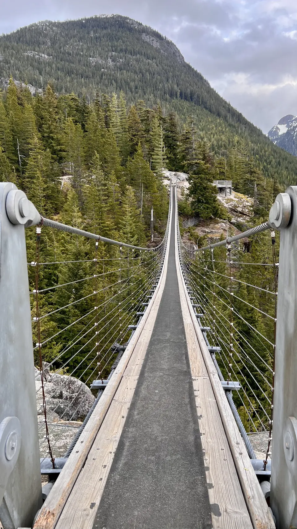 A narrow suspension bridge stretches over a forested ravine toward a steep mountain under a cloudy sky.