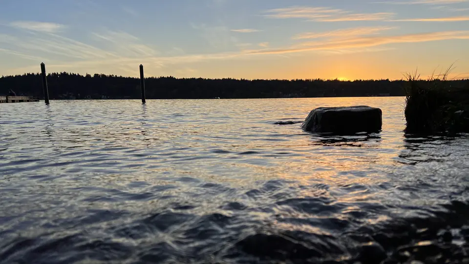 Rippling water reflects a golden sunset beneath a forested shoreline, with wooden posts and a large rock near the edge.