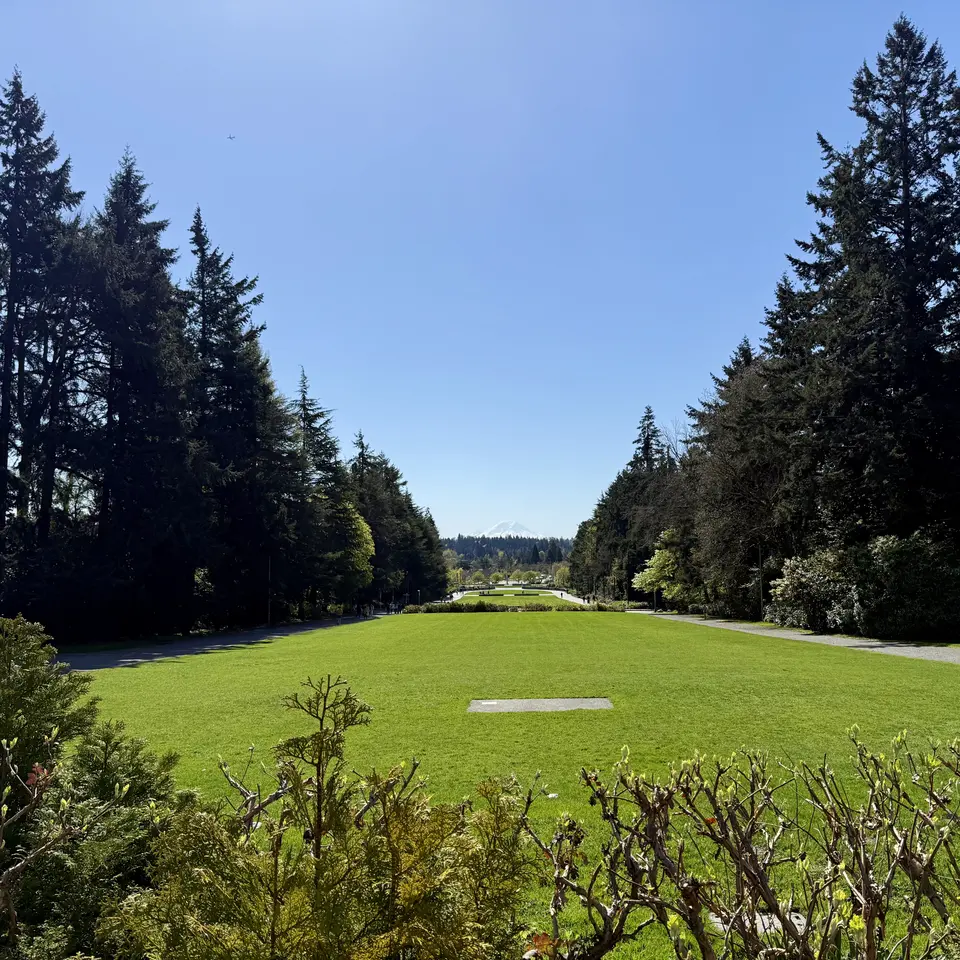 A broad green lawn stretches between tall evergreen trees beneath a clear blue sky.