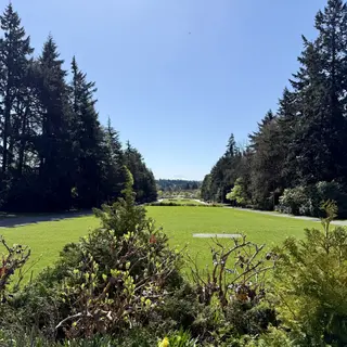 A broad green lawn stretches between tall evergreen trees beneath a clear blue sky, with trimmed shrubs in the foreground.