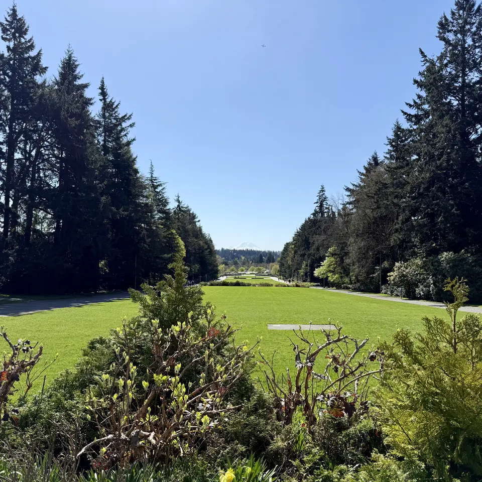 A broad green lawn stretches between tall evergreen trees beneath a clear blue sky, with trimmed shrubs in the foreground.