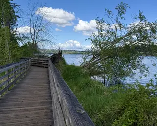 A wooden boardwalk with railings curves beside a grassy lakeshore beneath leafy trees and a blue sky with white clouds.