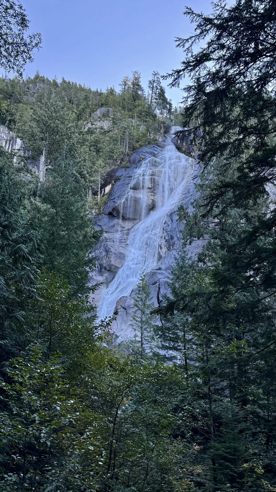 A tall waterfall cascades down a broad rocky cliff amid dense evergreen forest beneath a clear blue sky.