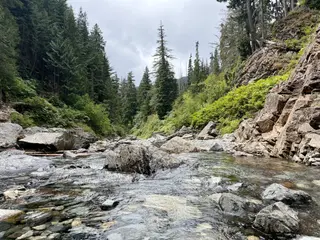 A stream flows through a rocky area surrounded by trees under a cloudy sky.