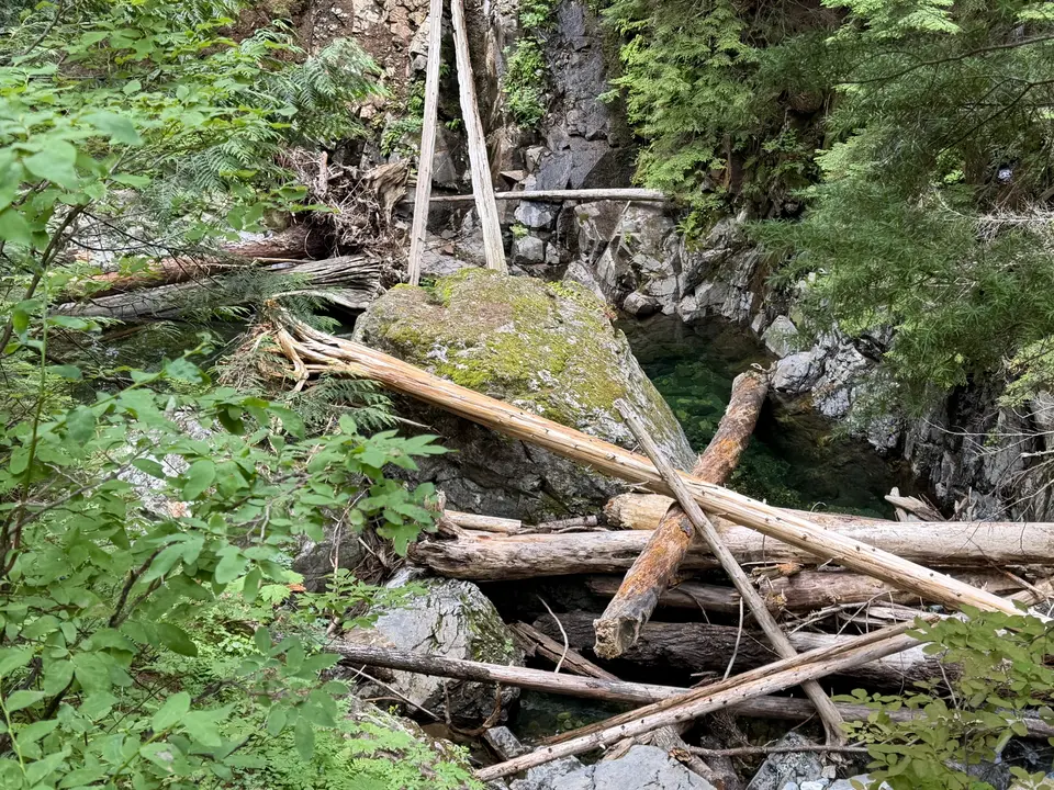 A pile of logs and rocks next to a body of water in a wooded area.