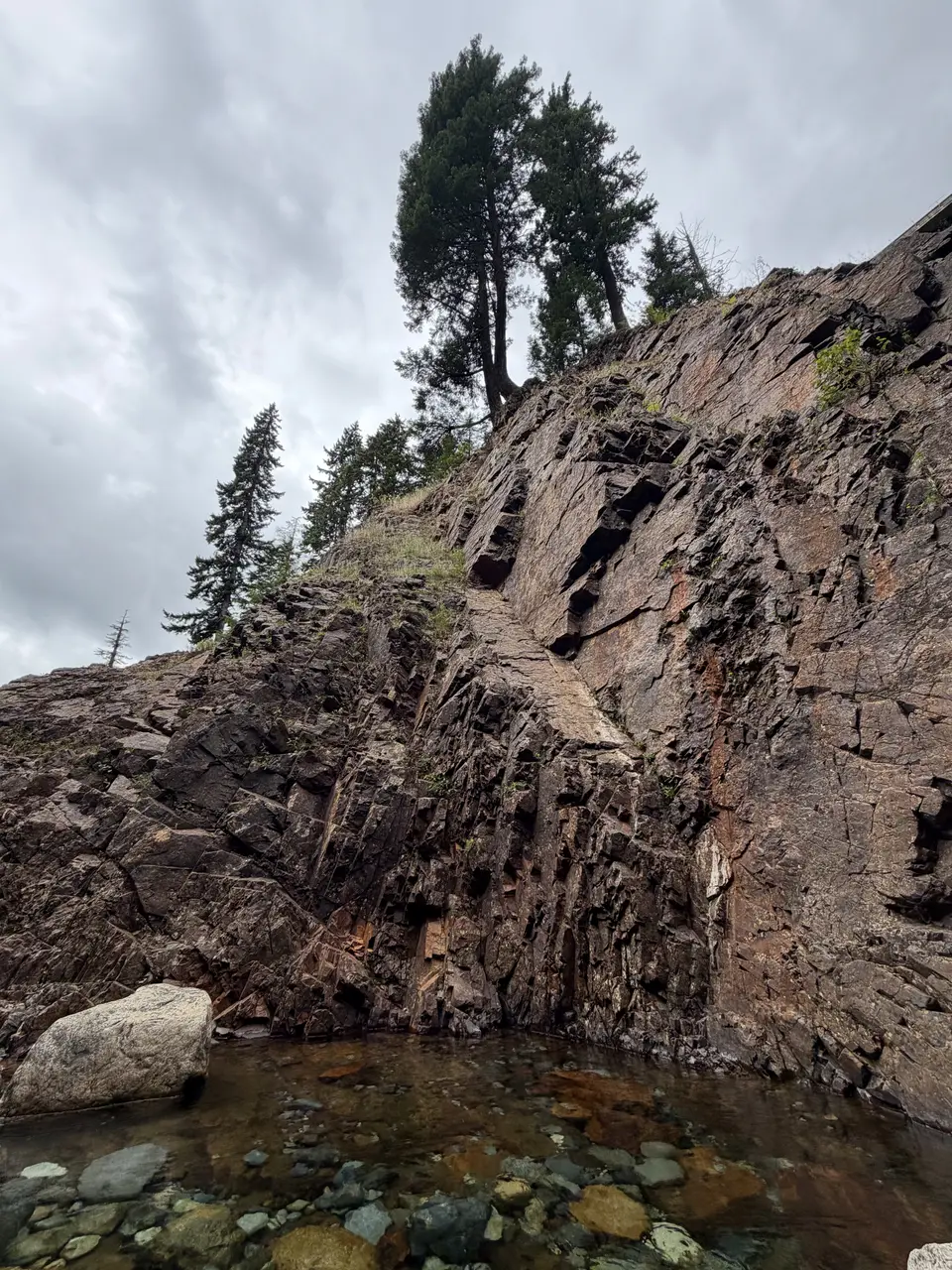 A rocky cliff with trees on top next to a body of water under a cloudy sky.