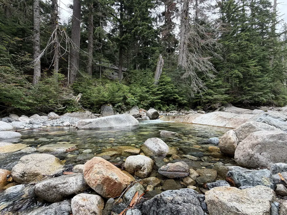 A clear stream flows through a forest with rocks and trees.