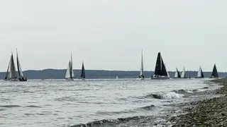 A fleet of sailboats with dark and white sails crosses choppy water beside a rocky shoreline under a pale sky.