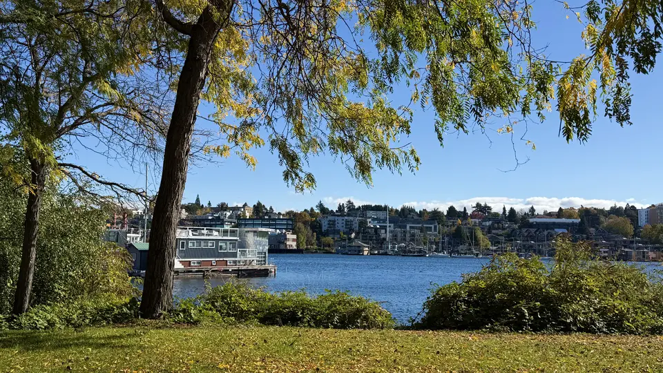 Leafy trees frame a blue lake with a floating building and hillside homes across the water under a clear sky.